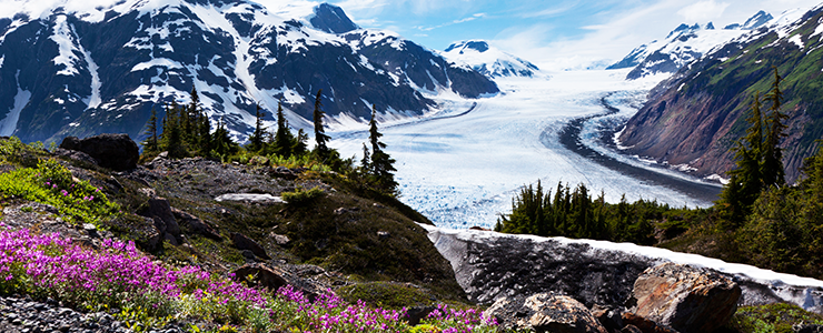 Reiseführer Alaska: eine Goldgrube für Outdoorfans und Naturliebhaber