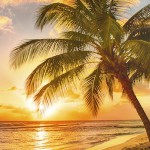 barbados strand