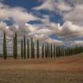 Reihe hoher Zypressen entlang eines Feldwegs in der toskanischen Hügellandschaft unter Wolkenhimmel