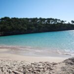 Bucht Mondragó auf Mallorca mit klarem Türkiswasser und Kiefernküste