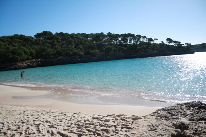 Bucht Mondragó auf Mallorca mit klarem Türkiswasser und Kiefernküste