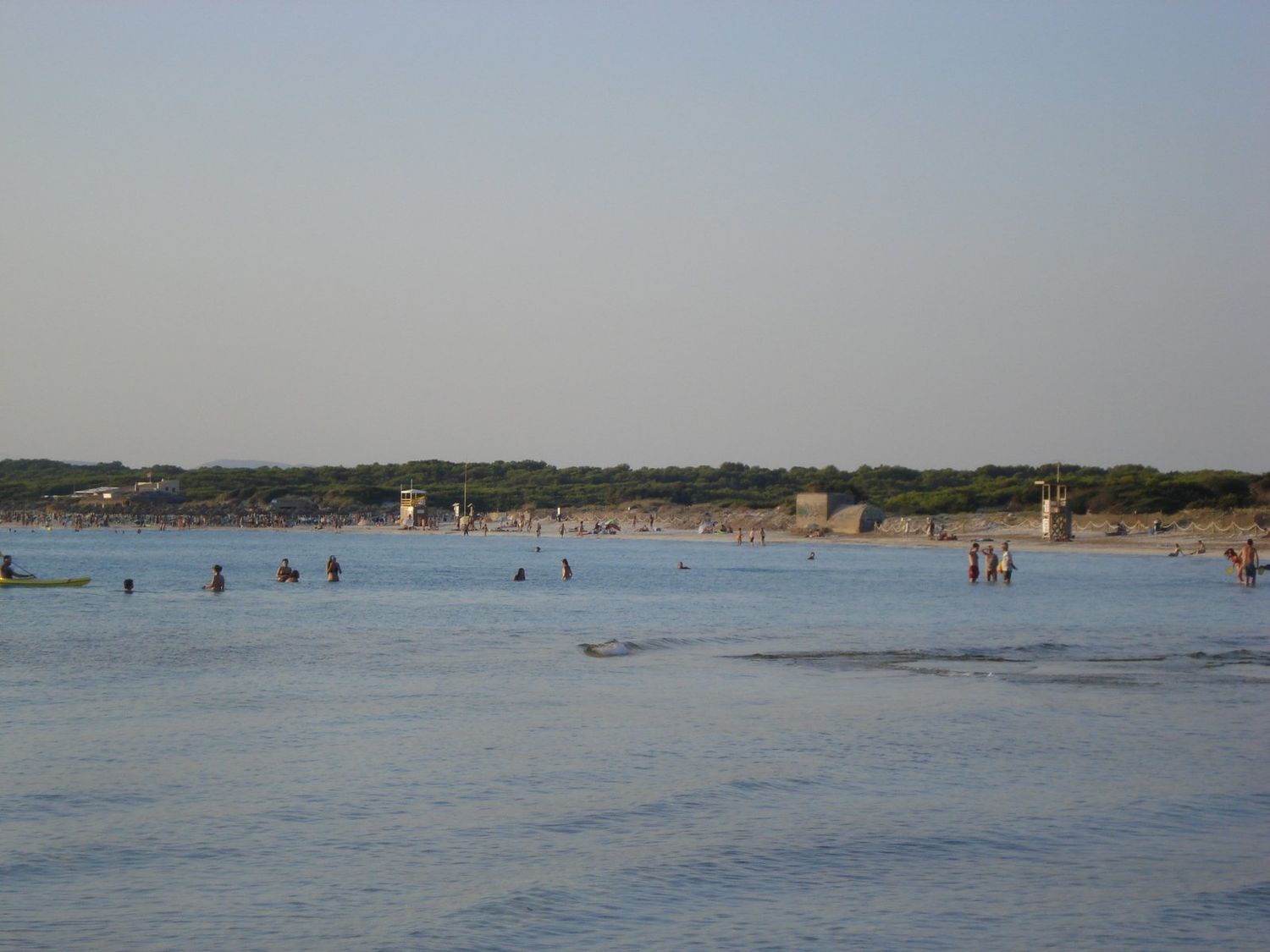 Sandstrand am Mittelmeer auf Mallorca mit ruhigem Wasser und Dünenbewuchs im Hintergrund