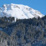Schneebedeckter Berggipfel über dichtem Nadelwald in den Schweizer Alpen