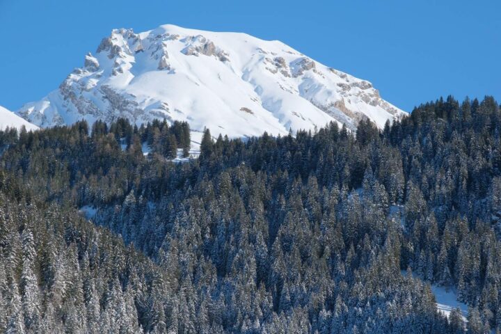 Schneebedeckter Berggipfel über dichtem Nadelwald in den Schweizer Alpen
