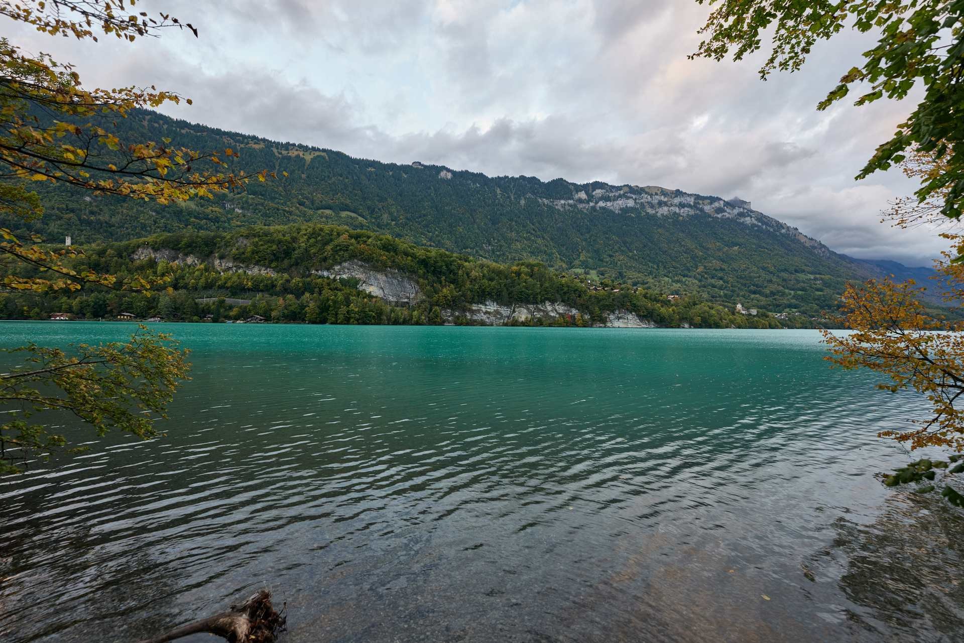 Türkisgrüner Brienzersee mit bewaldeten Bergen und Dorfhäusern am Ufer, gerahmt von Herbstzweigen